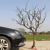 Ramas de árbol secas para paisajismo, árboles de los deseos, árboles muertos, decoraciones de patios interiores, ramas de árbol, troncos y árboles decorativos.