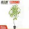 Decoraciones de Plantas Verdes Artificiales para Balcón, Decoraciones Grandes de Plantas Artificiales en Maceta, Decoración de Plantas, Bonsái de Planta Verde