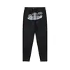 Pantalón de sudadera con forro polar bordado de cabeza de tigre azul grisáceo Trapstarr, traje con capucha de 2 piezas, comercio exterior transfronterizo
