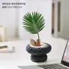 Planta Bebê de Ipê em Vaso, uma Ferramenta de Alívio de Estresse para Desktop para Trabalhadores, Fácil de Cultivar Hidroponicamente, Pequena Planta Verde Tolerante à Sombra para Banheiros