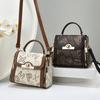 Bolso Cuadrado Pequeño Estampado de Verano 2025 Nueva Moda Bolso de Mujer Gran Capacidad Portátil Bolso de Hombro Bolso Cruzado de Mujer Transfronterizo
