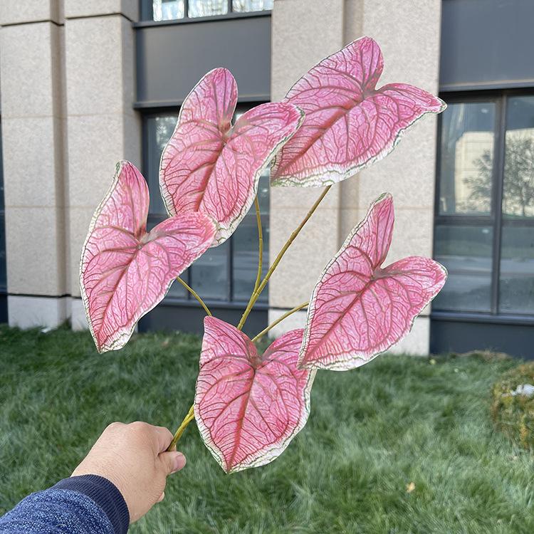 5叉彩色芋叶-7色系 绿边深粉.JPG