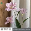 26 Años de Materiales de Flores Rosadas, Diseño de Rendimiento Comercial, Flores Falsas para Sesión de Fotos de Boda Romántica, Flores de Seda para Decoración Suave