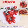 Simulación de Fruta Verdura Modelo de Fruta Falsa Juguete Accesorio para Fotografía Adorno de Exhibición Decoración de Manzana Simulada Adorno de Ayuda Didáctica