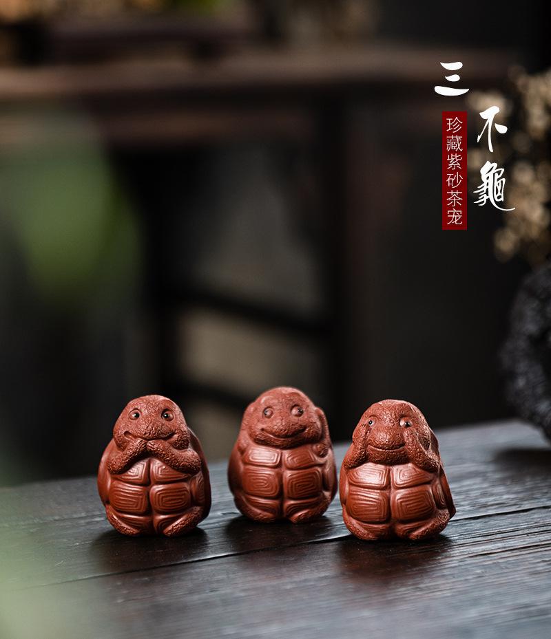 三不龟20220112 (21).jpg
