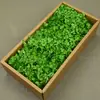 Flor Mágica Flor Eterna AB Anna Hortênsia 100g Aniversário Real Flor Diy Material Flor Seca Decoração Namorada Presente
