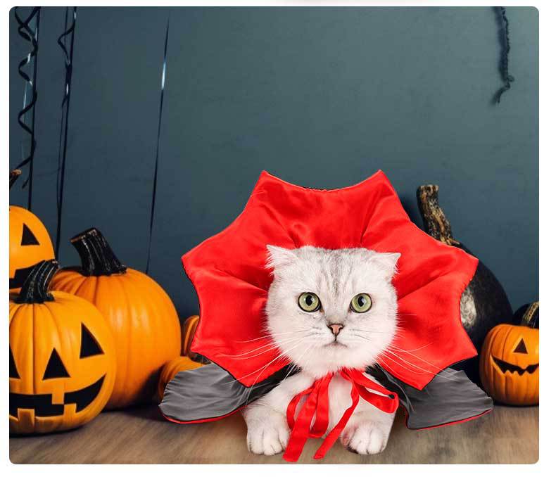 宠物万圣节披风-07.jpg