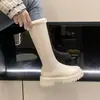 Novas botas de neve femininas de inverno 2026, forradas com fleece e espessadas, botas curtas, com sola grossa, botas Martin grandes de algodão, botas longas off-white
