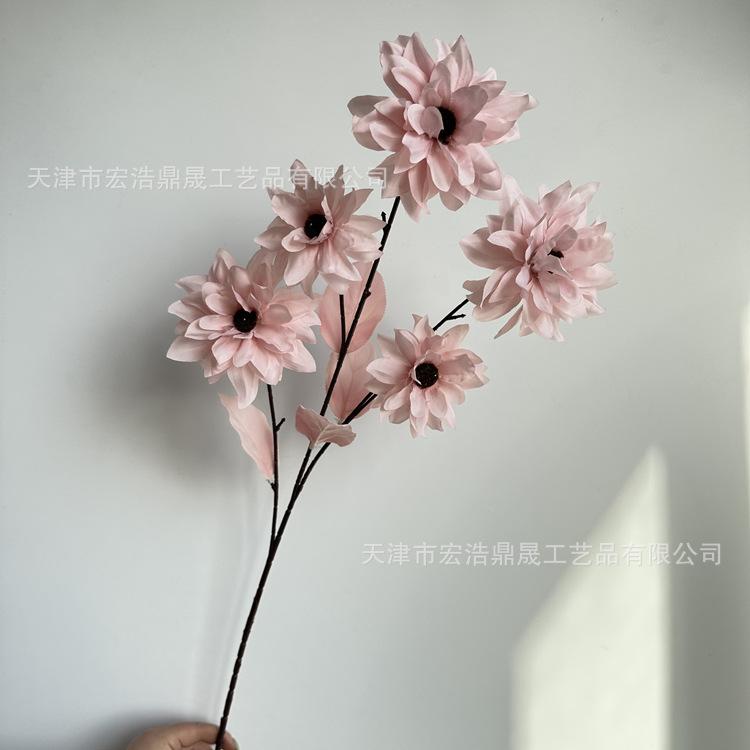微信图片_202303151643024_副本