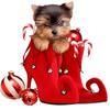 Nuevo Colgante Decorativo Acrílico Accesorios Perfectos para el Coche y Adornos para el Árbol de Navidad