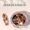 Joias de Glitter Sequin para Nail Art Barroca Importada de Alta Qualidade Brilhante Joias Redondas Clássicas Decorações de Sequin com Glitter para Unhas Outono e Inverno