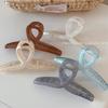 Pinza de Tiburón Grande de Color Gelatina Estilo Coreano Clip Transparente de Resina Cruzada Estilo Popular Accesorios para el Cabello de Moda