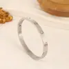 El Tesoro de la Tienda, Pulsera Popular Transfronteriza de Acero de Titanio, Colección Estilo Europeo y Americano, Lujo Ligero, Versátil y a la Moda, Precio de Fábrica, Dropshipping