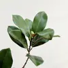 Planta Simulada Hojas de Magnolia al por Mayor Adornos de Camelia Plantas Verdes Flores de Plástico Paisajismo Arreglo Floral Ramas de Magnolia Simuladas Decorativas