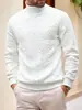Ropa de punto europea de talla estándar para otoño e invierno, ropa de punto, diaria, color liso, moda joven para hombre, jacquard, cuello alto, lana cálida