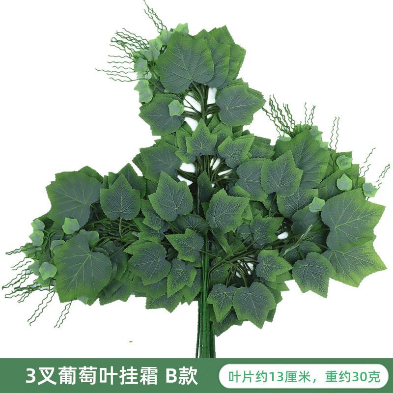 IMG_6809_副本_副本.jpg