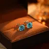 Pendientes Azules de Circonita Ultra Brillantes Más Vendidos en Tiktok para Mujer, Estilo de Lujo Ligero de Nicho, Pendientes Exquisitos con un Toque de Alta Gama, Accesorios Únicos para Orejas