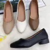 Sapatos femininos populares e versáteis de bico fino, novo modelo outono 2026, sapatos de trabalho confortáveis com sola macia, sapatos femininos baixos e planos