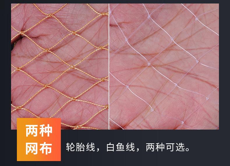 未标题-1-拷贝_10.jpg