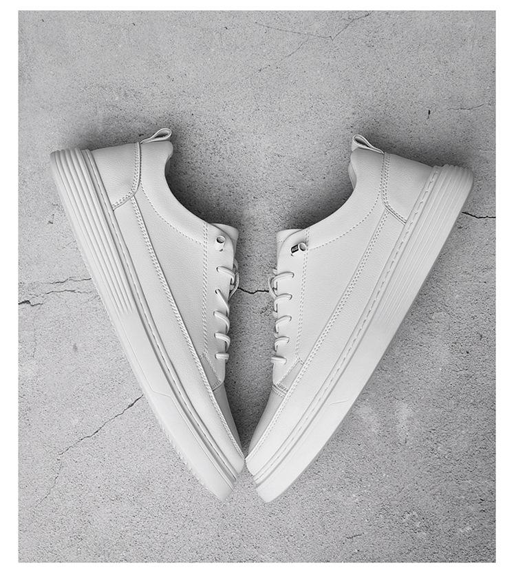 01-02-1_13.jpg?x-oss-process=image/format,png