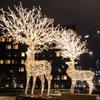 Natal Beleza Chen Decoração Luzes Sika Deer Luzes Elk Outdoor Rainproof Ferro Arte Paisagem Props Luzes Show Estilo Luzes