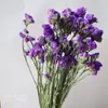 Algodão flor seca atacado decoração multi-produto Yunnan flor seca flor real combinação livre casa Salgueiro Prateado Vaso Zen decoração