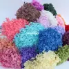 Flor Eterna Folha Pequena Hortênsia Anna Flor Seca Flor Real Estilo Escandinavo Props para Fotos Ins Buquê de Casamento Pronto Decoração