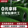 Césped Artificial Transfronterizo Personalizado Venta Caliente en Amazon Jardín Balcón Decoración Exterior Ingeniería de Pavimentación Simple Césped Especial