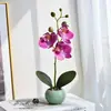 Bonsai de Orquídea Phalaenopsis Pequena Flor-Fruto Único de Três Flores do Fabricante, Flor Artificial Bonsai para Sala de Estar Gabinete de TV, Decoração de Interior Residencial Estilosa
