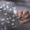 Celebridade da Internet Novas Explosões Concha Luz Borboleta Borboleta Aurora Adesivos de Unha Artística Borboleta Fada Transparente Branco Adesivos Adesivos para Unha