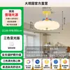 Lámpara de Techo Lámpara de Dormitorio Lámpara para Habitación Infantil Memphis 2026 Estilo Nuevo Cálida Protección Ocular Lámpara para Dormitorio Principal Estudio Comedor 412L