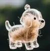 Caja Transparente para Guardar Pelo de Perro Llavero Colgante Cápsula de Pelo de Animal Suministros para Mascotas Accesorios para Perros Venta al por Mayor