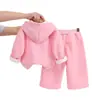 Conjunto Novo Outono e Inverno para Meninas 2026, Roupa de Inverno Espessa com Forro de Fleece Infantil, Conjunto de Duas Peças com Moletom com Capuz para Bebê Venda por Atacado