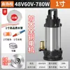 Bomba Sumergible DC 12V48V60V72V Bomba de Riego Agrícola con Caudal Grande