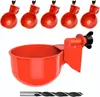 Amazon Transfronterizo Explosivo Pollo, Pato, Ganso, Bebedero, Dispositivo Automático de Agua para Beber para Pollo, Aves de Corral, Codorniz, Paloma, Bebedero