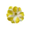 Cabeça de frangipani artificial Pente de cabelo coreano grampo de cabelo material de flor acessórios salão de casamento flor feita à mão decorativa adereços de fotografia