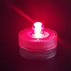 Blocos de construção Tanque de peixes pequeno Douyu Tanque de peixes ornamental ecológico em miniatura Caixa Douyu Caixa para rastejadores bola de algas Tanque de peixes pequeno criativo