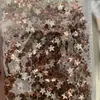 Agua Roja tamaño pequeño Mini Forma Plana Color Melocotón Claro Arte de Uñas Broca para Uñas Tamaño Mixto DIY Vidrio