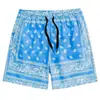 2026 Sitio Web Independiente Transfronterizo Nuevo de Alta Venta Shorts Deportivos Casuales para Hombre Shorts de Playa Hawaianos Fábrica de Origen