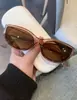Gafas de Sol Retro Europeas y Americanas Transfronterizas de Marco Pequeño Ojo de Gato Moda Sentido de Alta Gama Temperamento Individual Gafas de Sol Cuadradas y Redondas para Posar