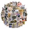 50 pegatinas decorativas impermeables para equipaje, papelería, con expresión de personalidad de gato, divertidas y lindas, transfronterizas