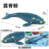 Juguetes Sólidos Transfronterizos para Niños Mini Modelo del Océano Criaturas Biológicas Realistas Tiburón Ballena Tortuga Marina Delfín Orca Figuras