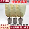 Cubierta Protectora de Hielo para Plantas No Tejida, Cubierta de Protección contra el Frío para Plantas y Frutas de Invierno, Cubierta Protectora a Prueba de Viento No Tejida, Amazon