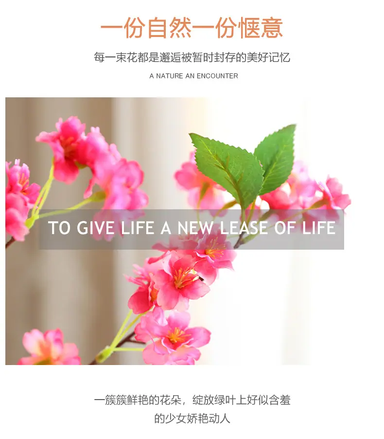 迷你樱花-黄底_02.jpg