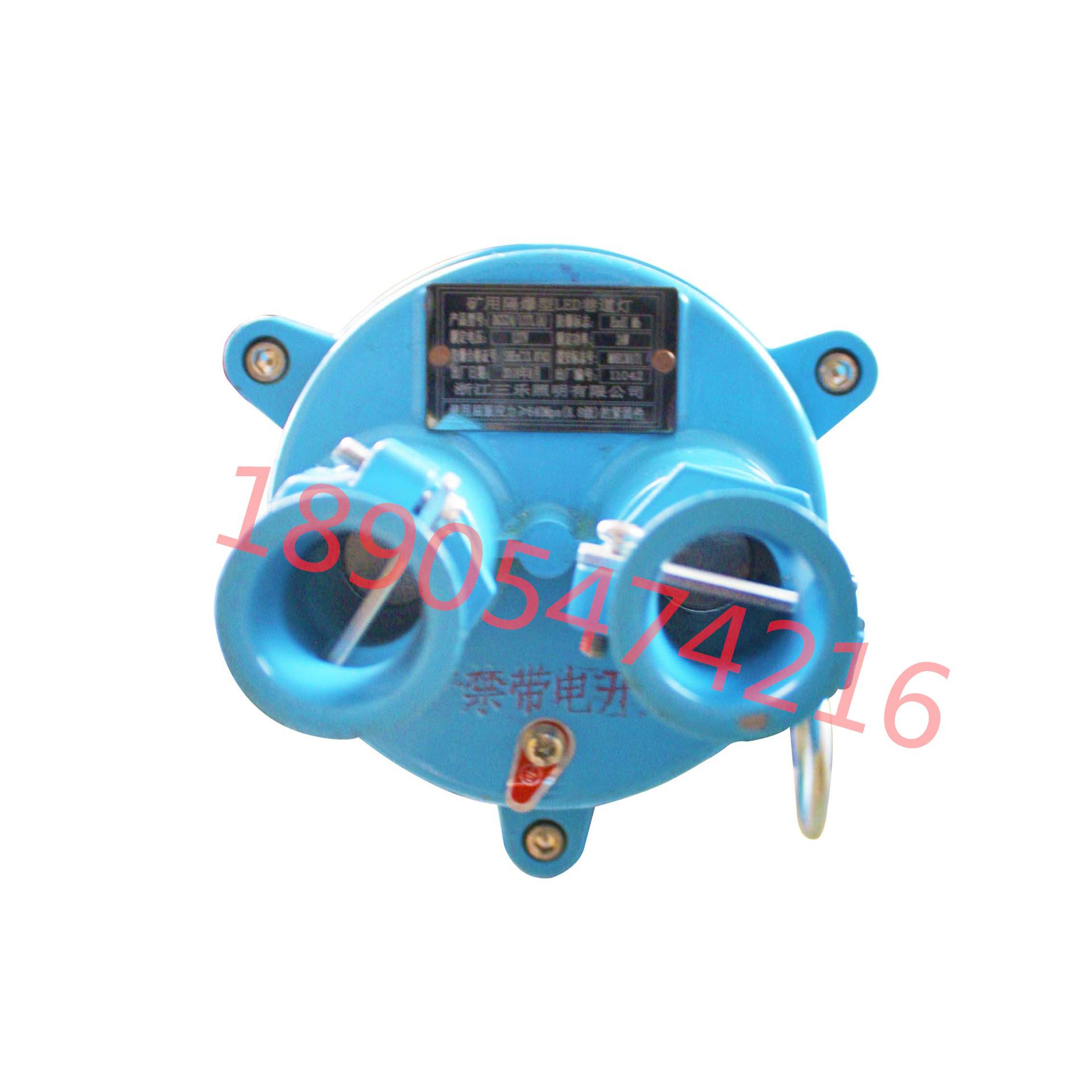 DGS24-127L(A)矿用隔爆型LED巷道灯 (4)