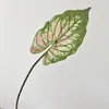 Hojas de cala impresas en 3D, hojas de taro coloridas, plantas verdes artificiales, arreglos florales de jardín estilo Monet para DIY, flores artificiales, suministro transfronterizo