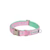 Coleiras para Cachorros de Novo Estilo Transfronteiriças com Cores Contrastantes para Animais de Estimação Grandes, Médios e Pequenos, Anti-Choque, Confortáveis, Não Sufocantes, Fornecimento Direto do Fabricante