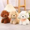 Nuevos Peluches 8 pulgadas Muñecas de Máquina de Garra Tendencia Boda Muñecos para Lanzar Regalos Promocionales Juguetes al por Mayor