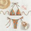 2025 AliExpress Nova Moda Europeia e Americana Sexy Biquíni Roupa de Banho Natação Praia Fonte Termal Dividida Roupa de Banho Transfronteiriça