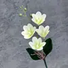 Escena de Boda de Magnolia Impresa en 3D Simulada Diseño de Decoración para Hogar, Hotel, Transfronteriza Hecho a Mano Adornos de Flores Artificiales Venta al por Mayor